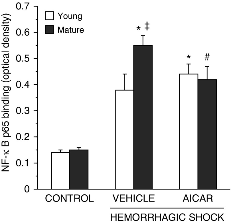 Figure 11.