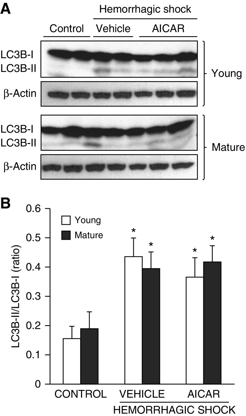 Figure 10.