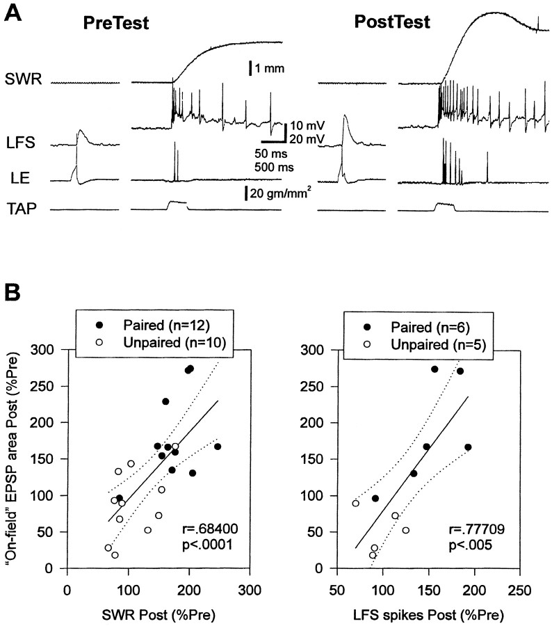 Fig. 8.