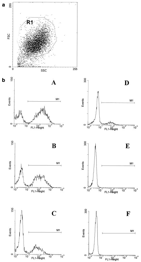 FIG. 1