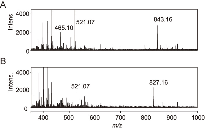 Figure 13. 