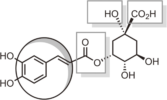 Figure 11. 