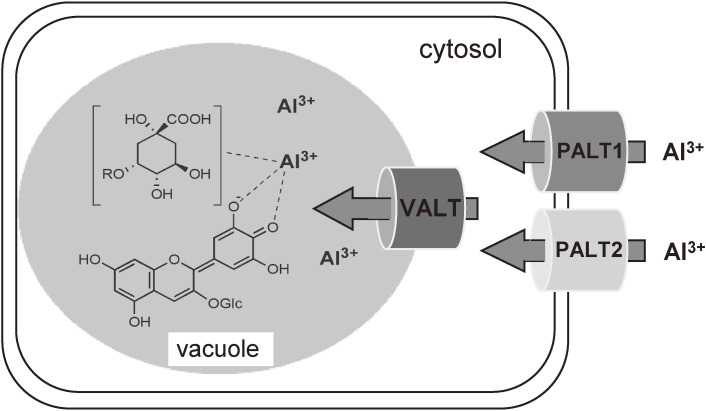 Figure 17. 