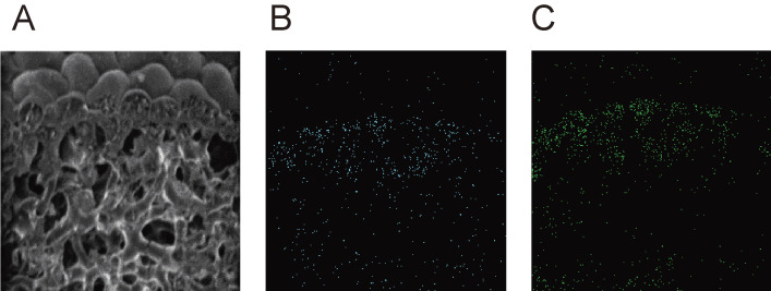 Figure 15. 