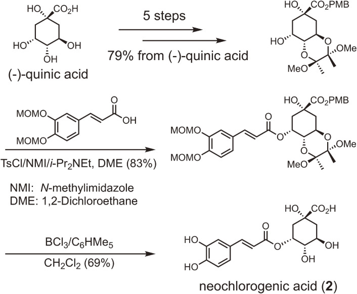 Figure 10. 