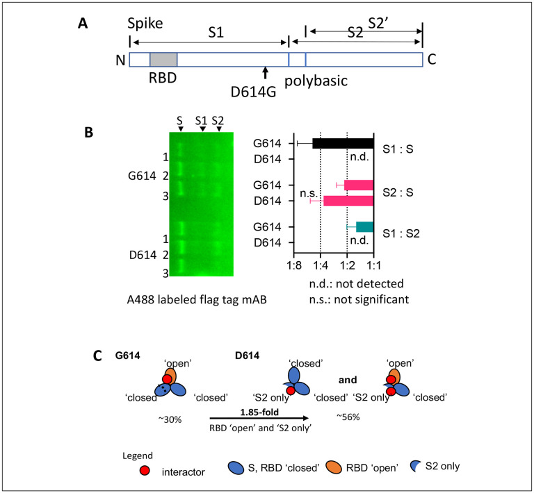Figure 2: