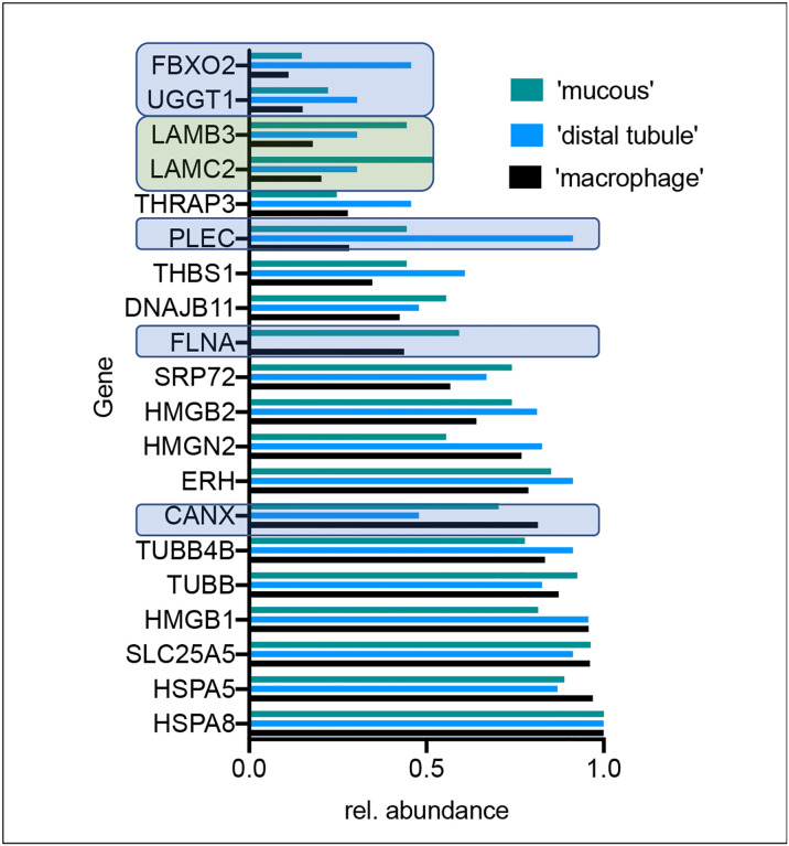 Figure 5: