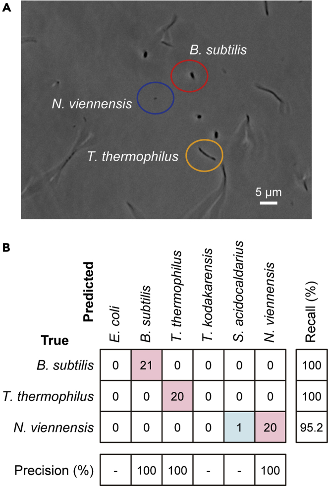 Figure 3