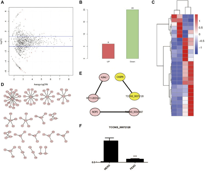 FIGURE 3