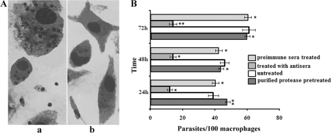 FIG. 5.