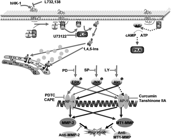 FIGURE 11.