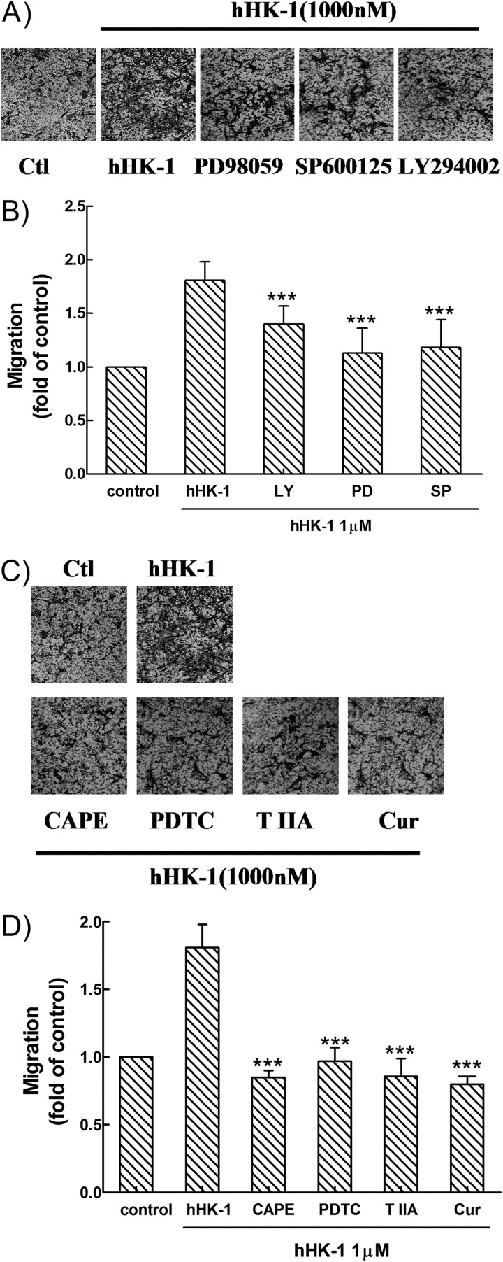 FIGURE 10.