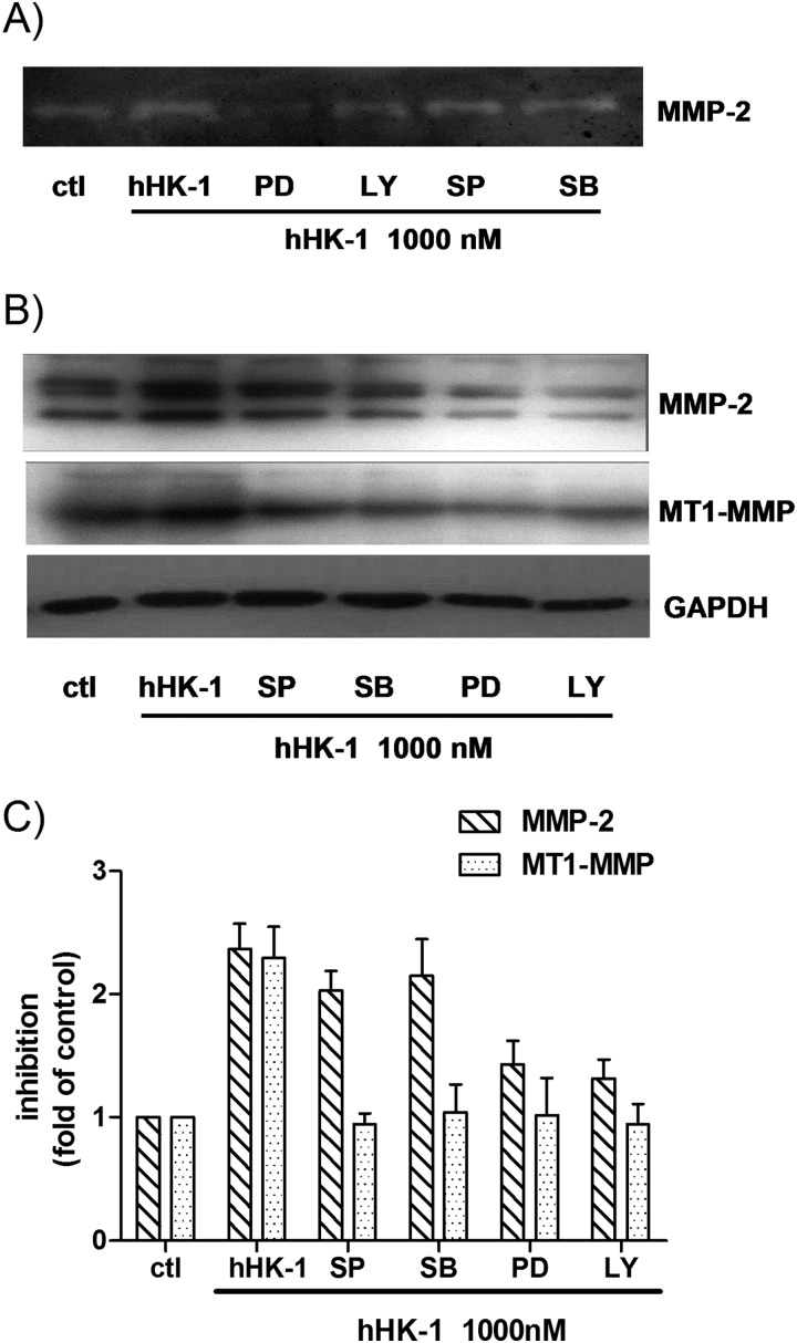 FIGURE 7.