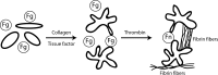 FIGURE 8.
