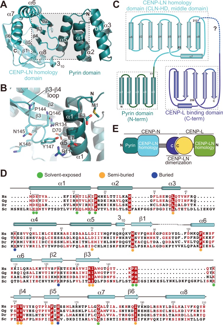 Figure 2.