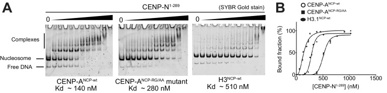 Figure 3—figure supplement 3.