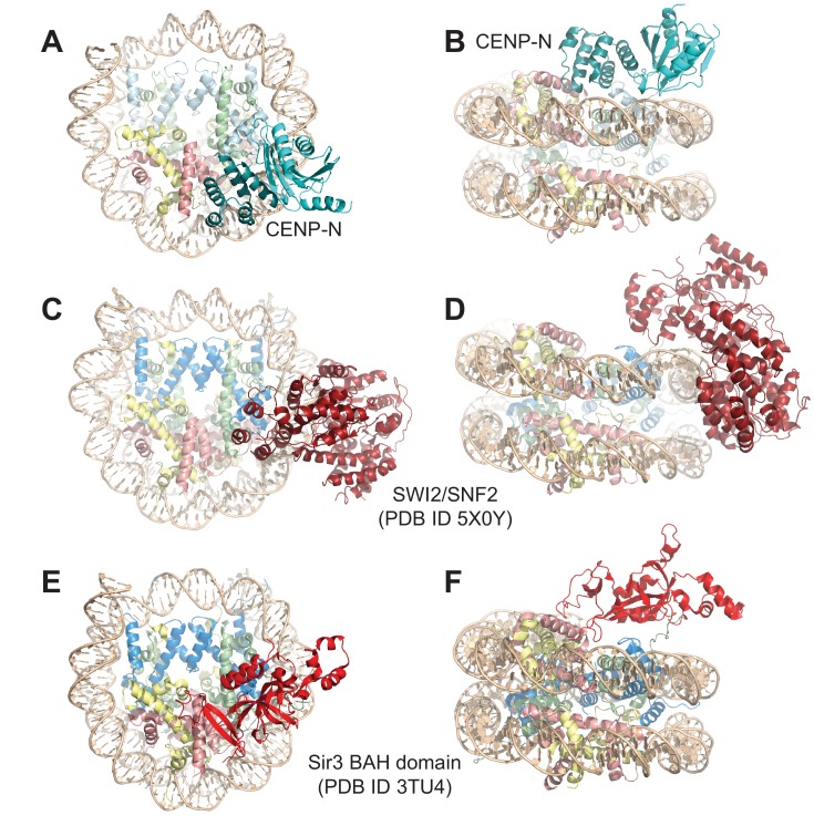 Figure 3—figure supplement 6.