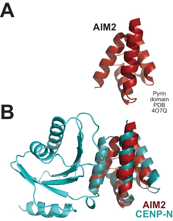 Figure 2—figure supplement 1.