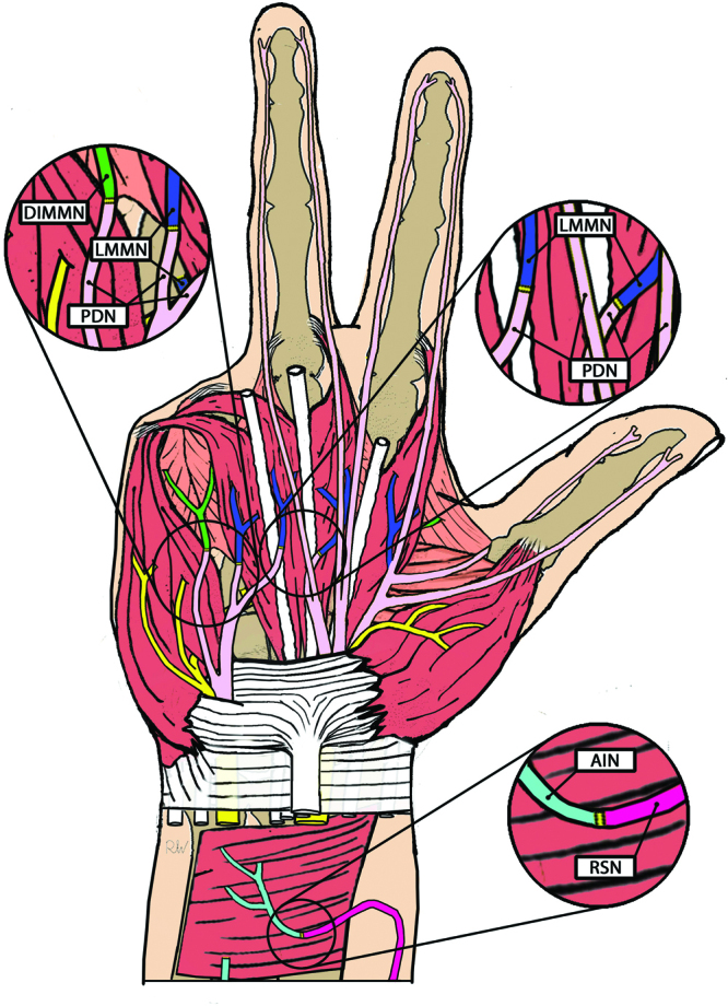 Fig. 1.