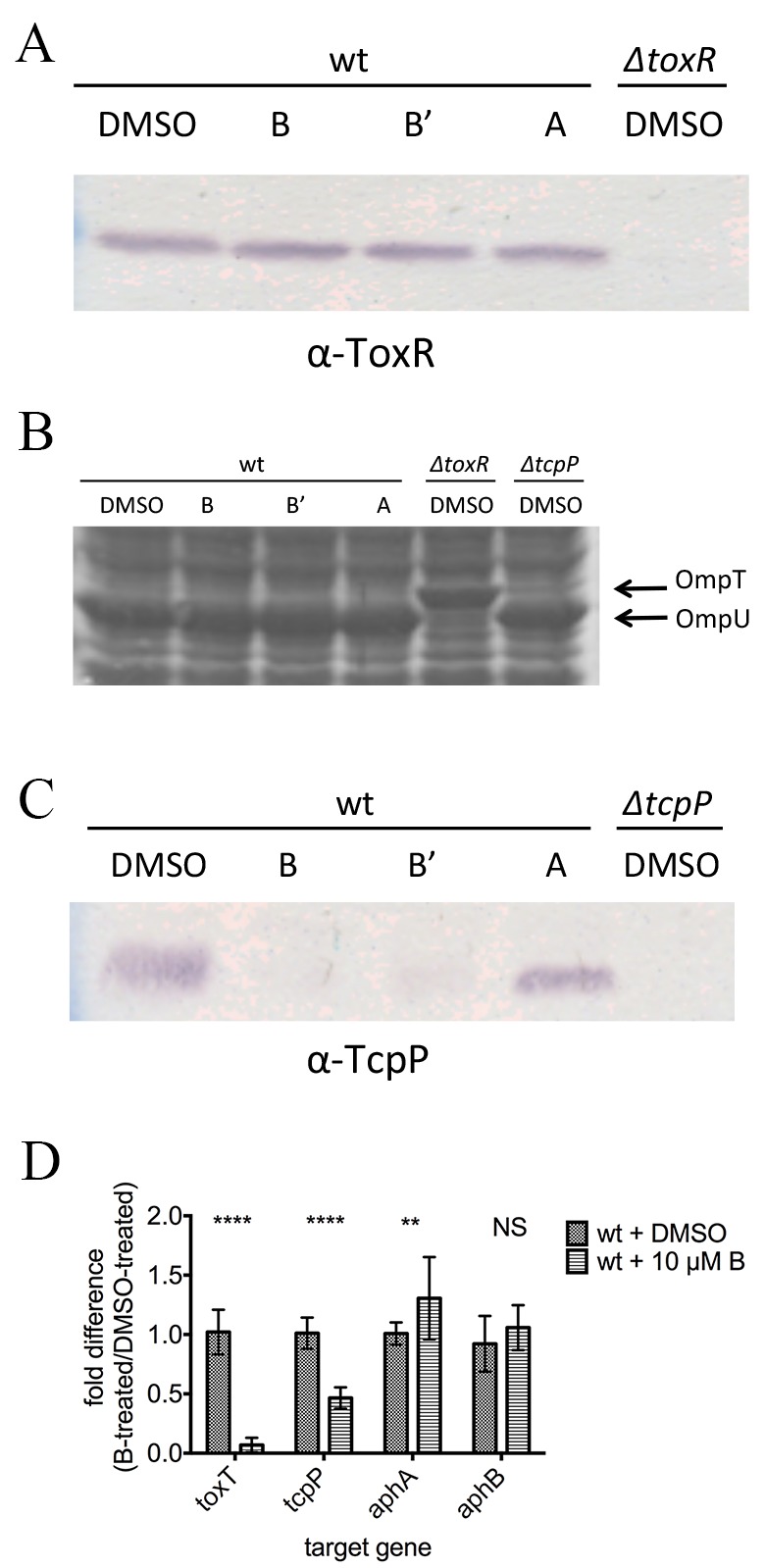 FIG 4 