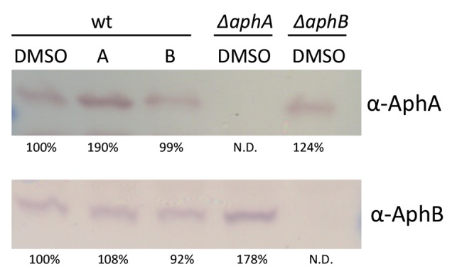 FIG 5 