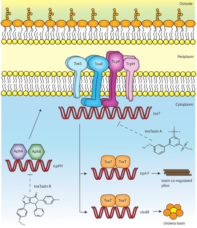 FIG 6 