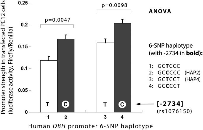 Figure 2.