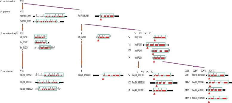 Fig. 9