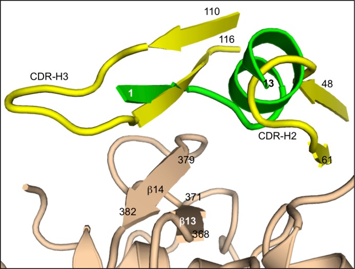 FIGURE 11.