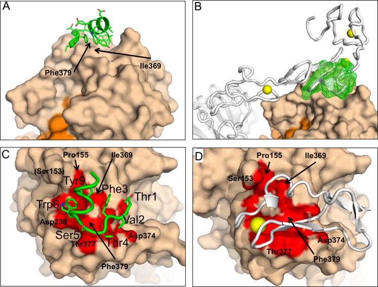 FIGURE 6.