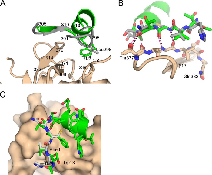 FIGURE 9.