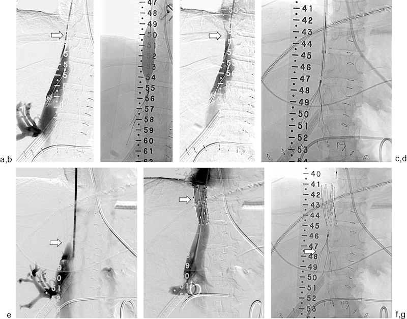 Fig. 8