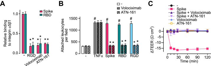 Figure 7