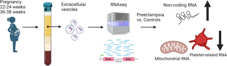 graphic file with name 12916_2023_3178_Figa_HTML.jpg