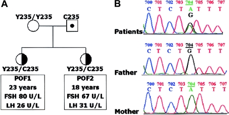 Figure  1