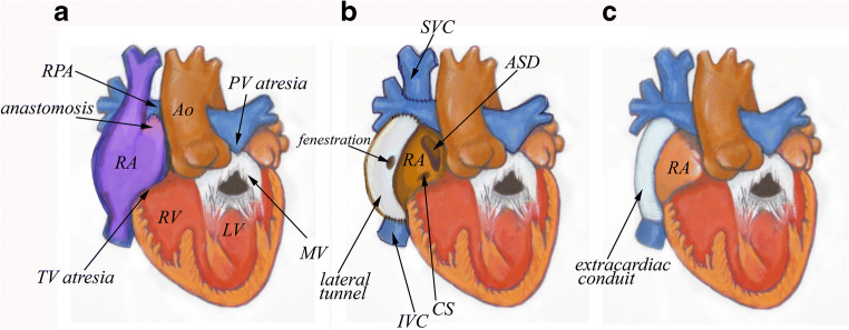 Fig. 1-