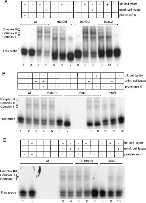 FIG. 7.