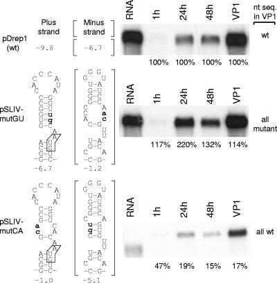 FIG. 4.