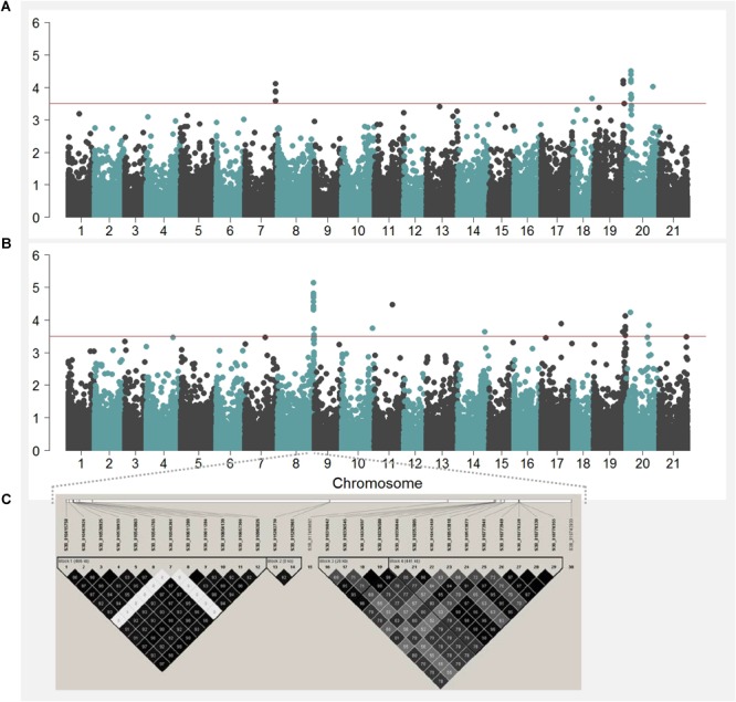 FIGURE 4