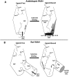 Figure 11.