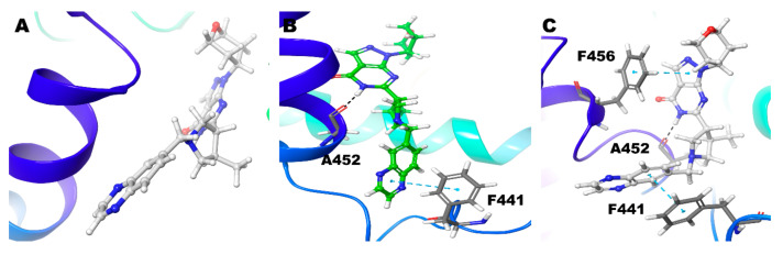 Figure 10