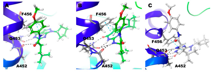 Figure 11