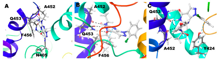 Figure 5