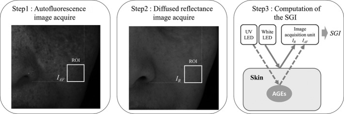 FIGURE 2