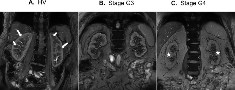 Figure 2: