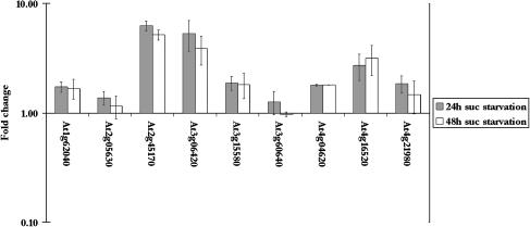 Figure 7.