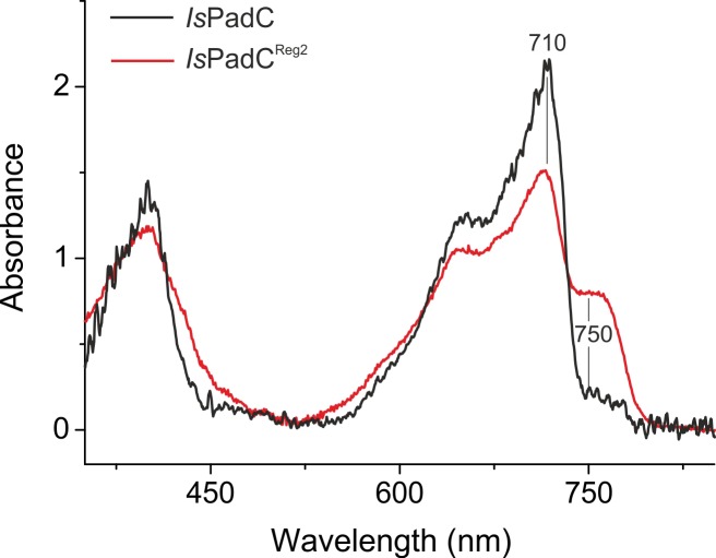 Figure 2—figure supplement 3.