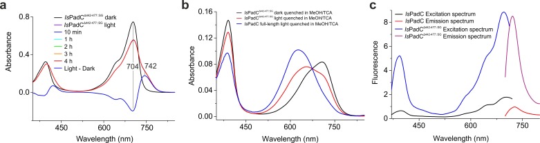 Figure 1—figure supplement 3.