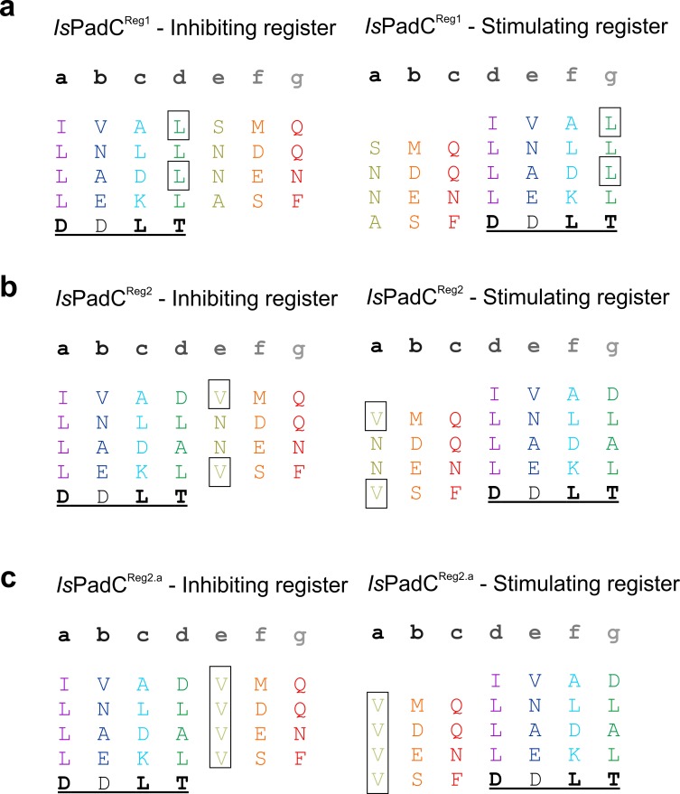 Figure 1—figure supplement 1.