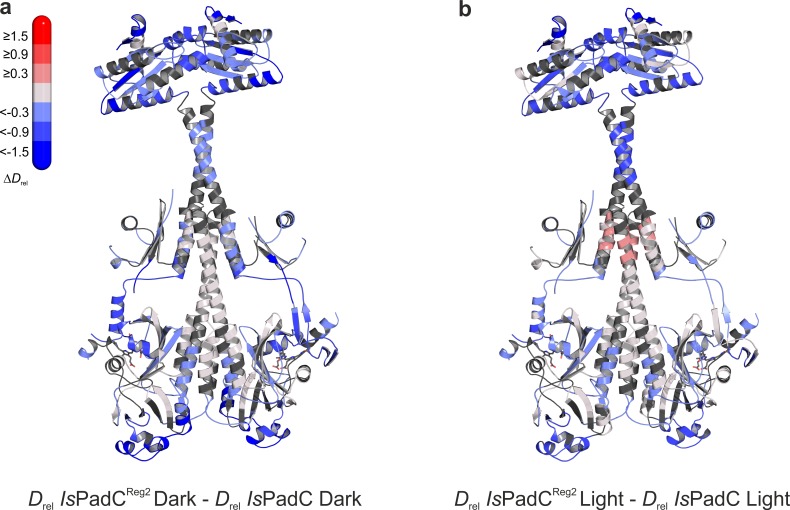 Figure 4—figure supplement 1.